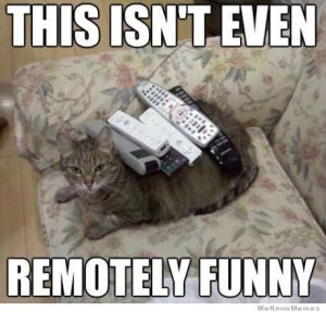 remotely-funny-cat