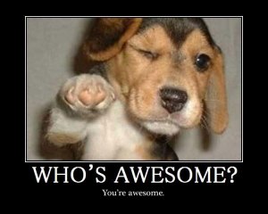 Whos-Awesome_Dog
